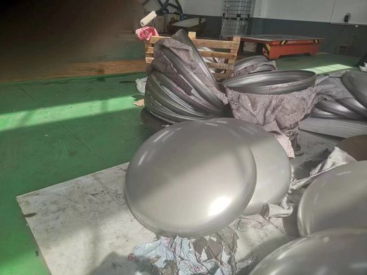 Testa di piatto in acciaio inossidabile forgiato con eccellente durata e tolleranza rigorosa